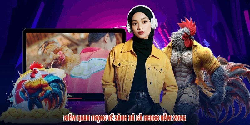 Điểm quan trọng về sảnh đá gà RED88 năm 2026