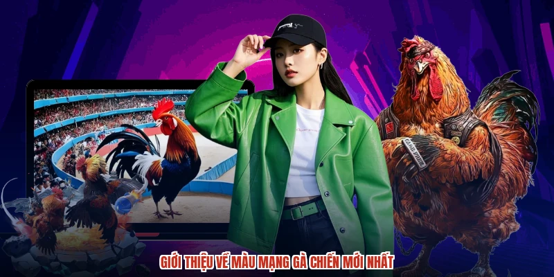 Giới thiệu về màu mạng gà chiến mới nhất