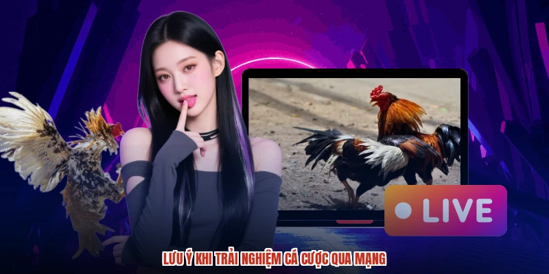 Lưu ý khi trải nghiệm cá cược qua mạng