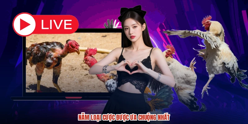 Năm loại cược được ưa chuộng nhất