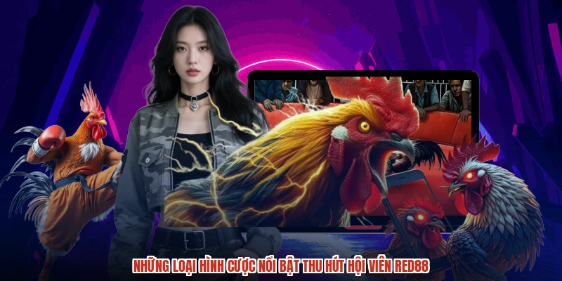 Những loại hình cược nổi bật thu hút hội viên RED88