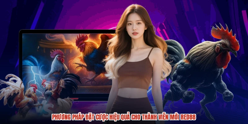 Phương pháp đặt cược hiệu quả cho thành viên mới RED88